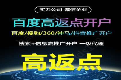 某品牌SEM广告投放效果全解析