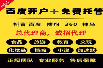 百度SEM推广策略：成功案例解析